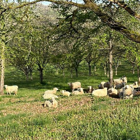 Вилла Domaine La Noyeraie Perigord Noir Paulin Экстерьер фото